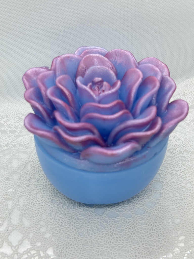 エケベリア風小物入水色×ピンクBアクセサリーケース インテリア 多肉植物 置物 プレゼントや贈り物に 2液レジン ハンドメイド