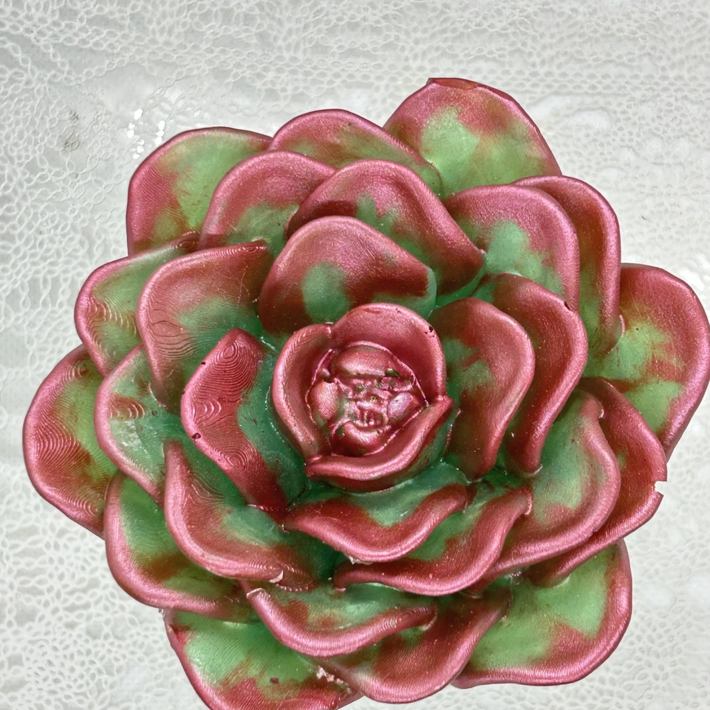 エケベリア風小物入黄緑×ワインレッドCアクセサリーケース インテリア 多肉植物 置物 プレゼントや贈り物に2液レジン ハンドメイド