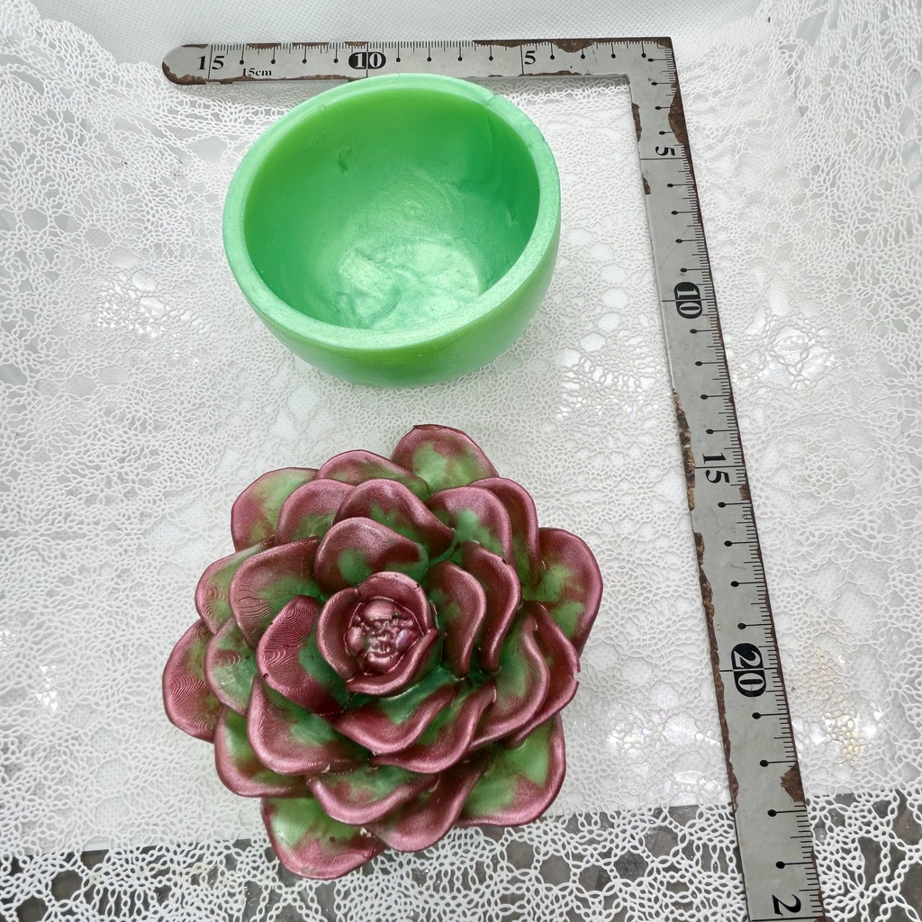エケベリア風小物入黄緑×ワインレッドCアクセサリーケース インテリア 多肉植物 置物 プレゼントや贈り物に2液レジン ハンドメイド