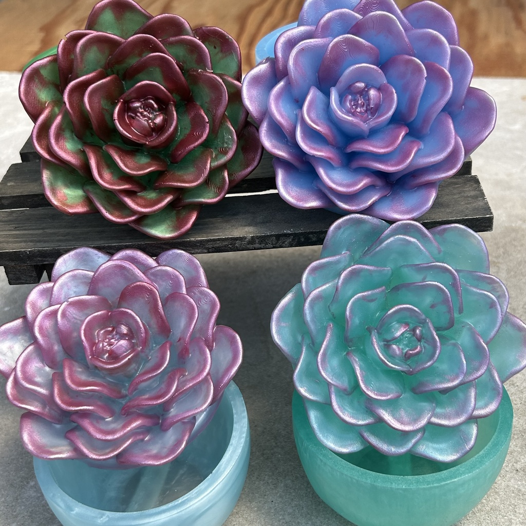 エケベリア風小物入黄緑×ワインレッドCアクセサリーケース インテリア 多肉植物 置物 プレゼントや贈り物に2液レジン ハンドメイド