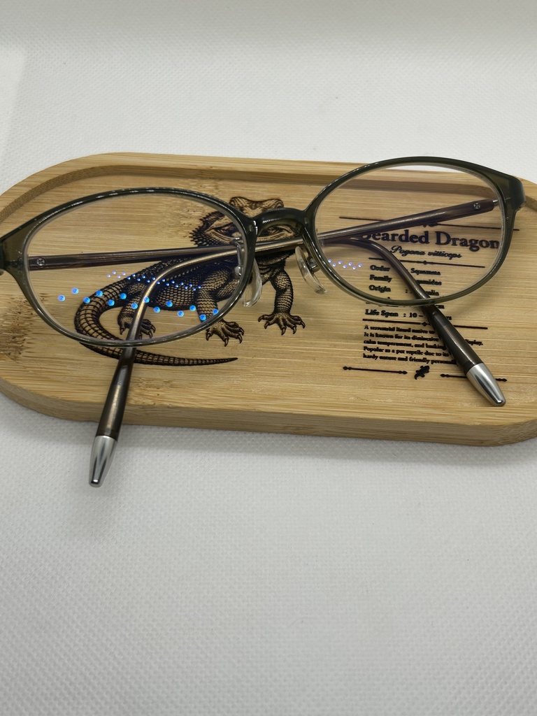 フトアゴトカゲ 木製アクセサリートレー|竹製レーザー刻印|爬虫類グッズ・小物入れ・うちの子オーダー対応図鑑風