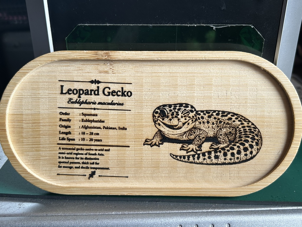 レオパードゲッコー図鑑風アクセサリートレー|木製竹トレー|レーザー刻印|爬虫類雑貨|レオパグッズ