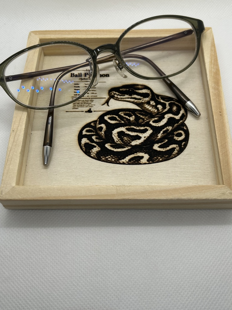 レーザー刻印 ボールパイソン図鑑風アクセサリートレー|木製小物入れ|爬虫類インテリア|蛇好き向け雑貨|Ball Python