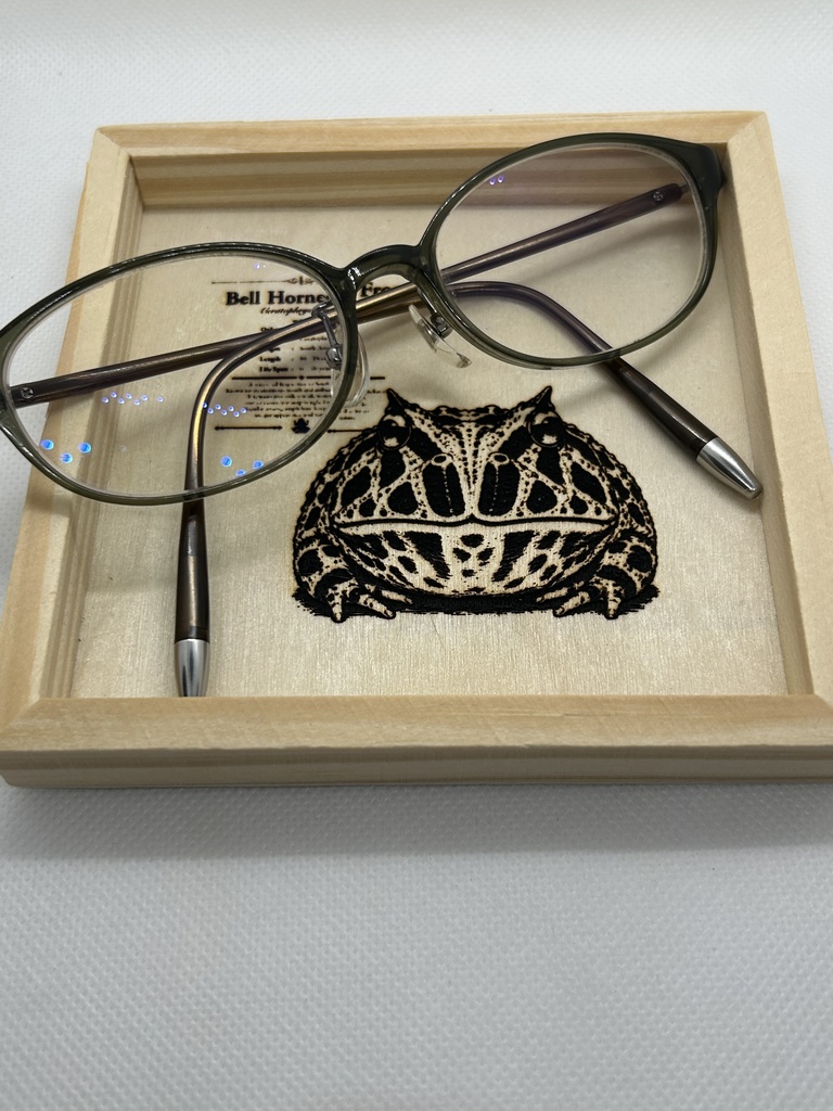 レーザー刻印 ベルツノガエル図鑑風アクセサリートレー|木製小物入れ|両生類インテリア|Cranwelli