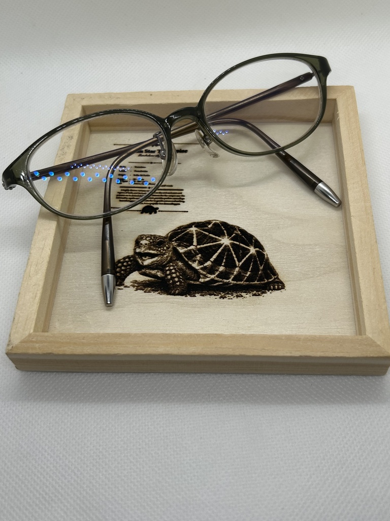 レーザー刻印 ホシガメ図鑑風アクセサリートレー|木製小物入れ|爬虫類インテリア|リクガメ雑貨|Indian Star Tortoise