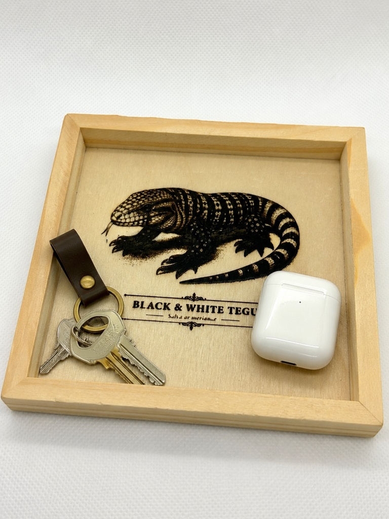 ブラック&ホワイトテグー 図鑑風 木製アクセサリートレー|レーザー刻印|爬虫類インテリア|標本風デザイン