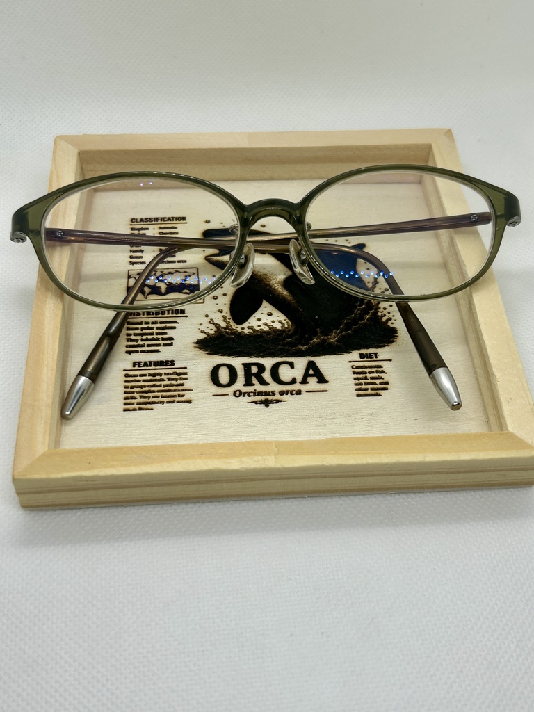 シャチ 図鑑風 木製アクセサリートレー|レーザー刻印|海の生き物インテリア|標本風デザイン