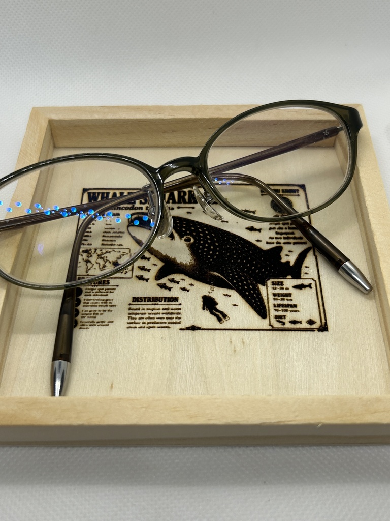 ジンベイザメ 図鑑風 木製アクセサリートレー|レーザー刻印|海の生き物インテリア|標本風デザイン