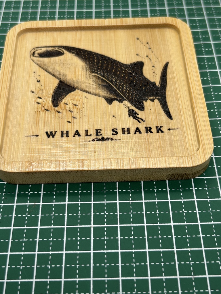 ジンベエザメ 木製コースター|レーザー刻印・竹製・ミニイーゼル付き|海の図鑑シリーズ・Whale Shark・海の生き物・インテリア・ギフト