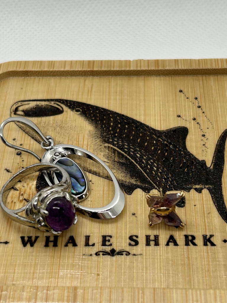 ジンベエザメ 木製コースター|レーザー刻印・竹製・ミニイーゼル付き|海の図鑑シリーズ・Whale Shark・海の生き物・インテリア・ギフト
