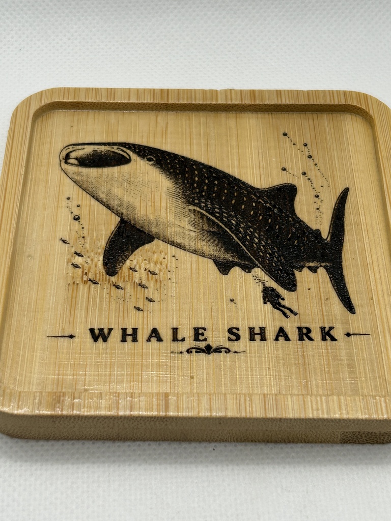 ジンベエザメ 木製コースター|レーザー刻印・竹製・ミニイーゼル付き|海の図鑑シリーズ・Whale Shark・海の生き物・インテリア・ギフト