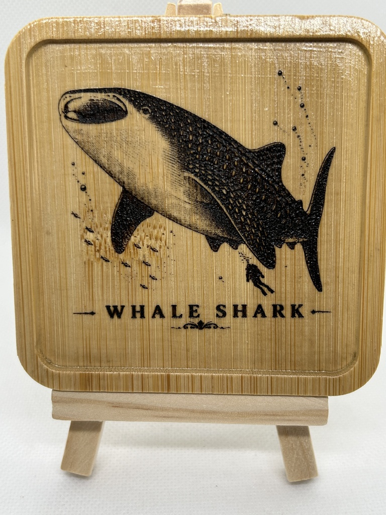 ジンベエザメ 木製コースター|レーザー刻印・竹製・ミニイーゼル付き|海の図鑑シリーズ・Whale Shark・海の生き物・インテリア・ギフト