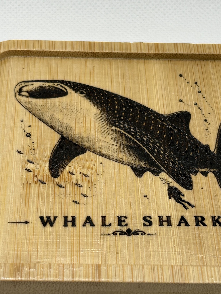 ジンベエザメ 木製コースター|レーザー刻印・竹製・ミニイーゼル付き|海の図鑑シリーズ・Whale Shark・海の生き物・インテリア・ギフト
