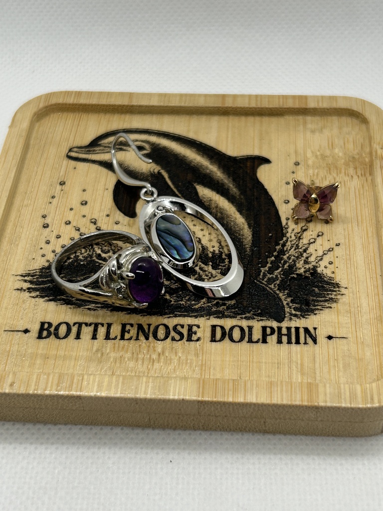 イルカ 木製コースター|レーザー刻印・竹製・ミニイーゼル付き|海の図鑑シリーズ・Bottlenose Dolphin・海の生き物・インテリア・ギフト