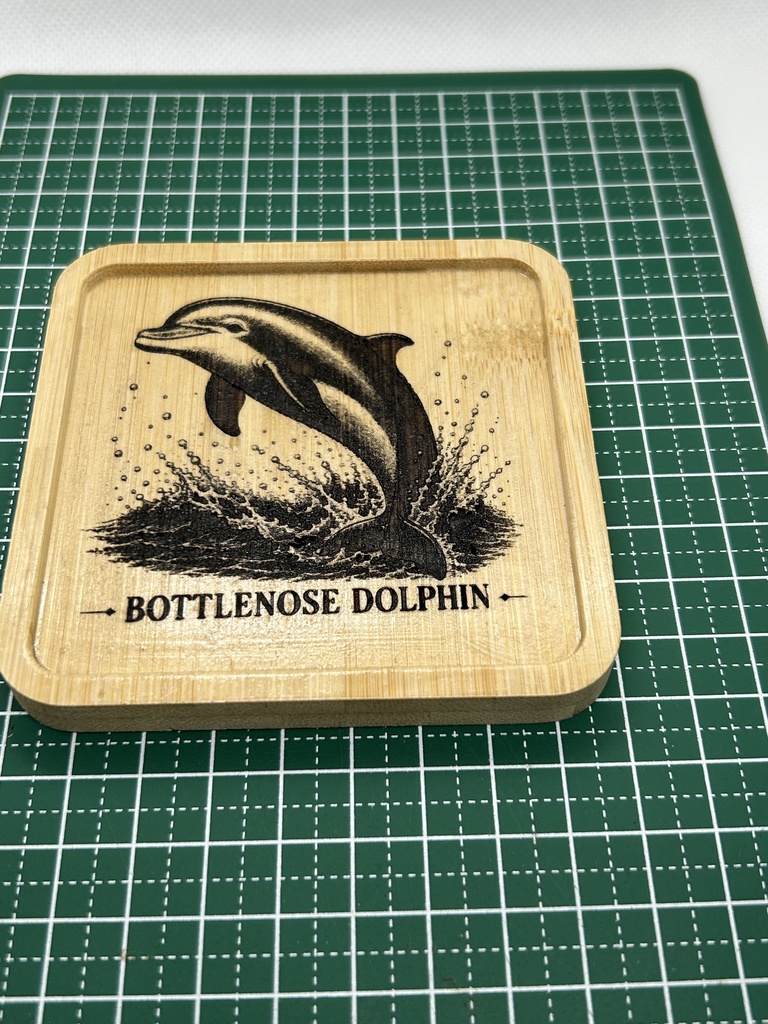 イルカ 木製コースター|レーザー刻印・竹製・ミニイーゼル付き|海の図鑑シリーズ・Bottlenose Dolphin・海の生き物・インテリア・ギフト