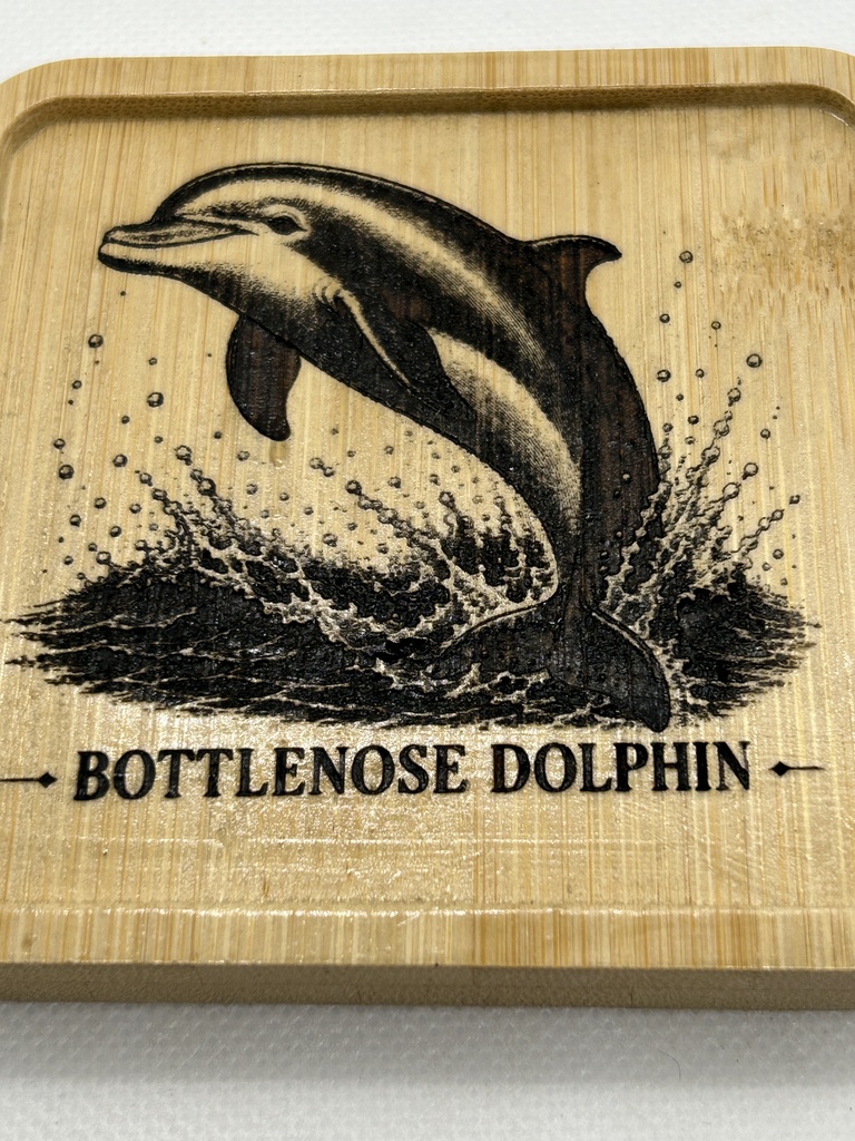 イルカ 木製コースター|レーザー刻印・竹製・ミニイーゼル付き|海の図鑑シリーズ・Bottlenose Dolphin・海の生き物・インテリア・ギフト