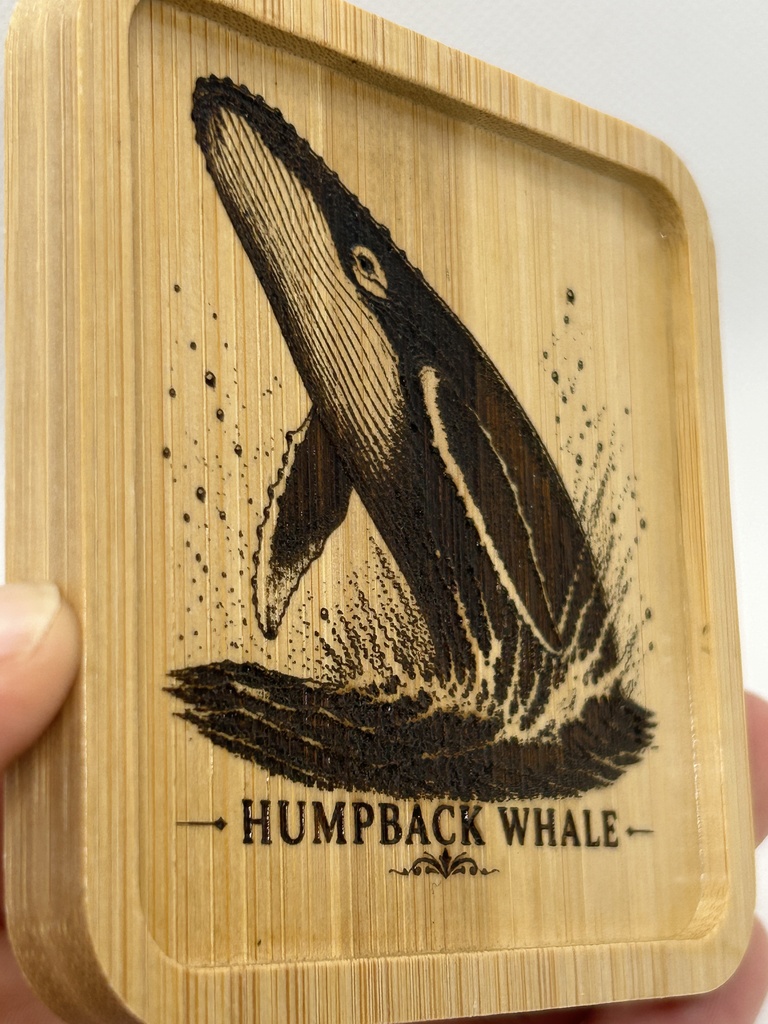 ザトウクジラ 木製コースター|レーザー刻印・竹製・ミニイーゼル付き|海の図鑑シリーズ・Humpback Whale・海の生き物・インテリア・ギフト