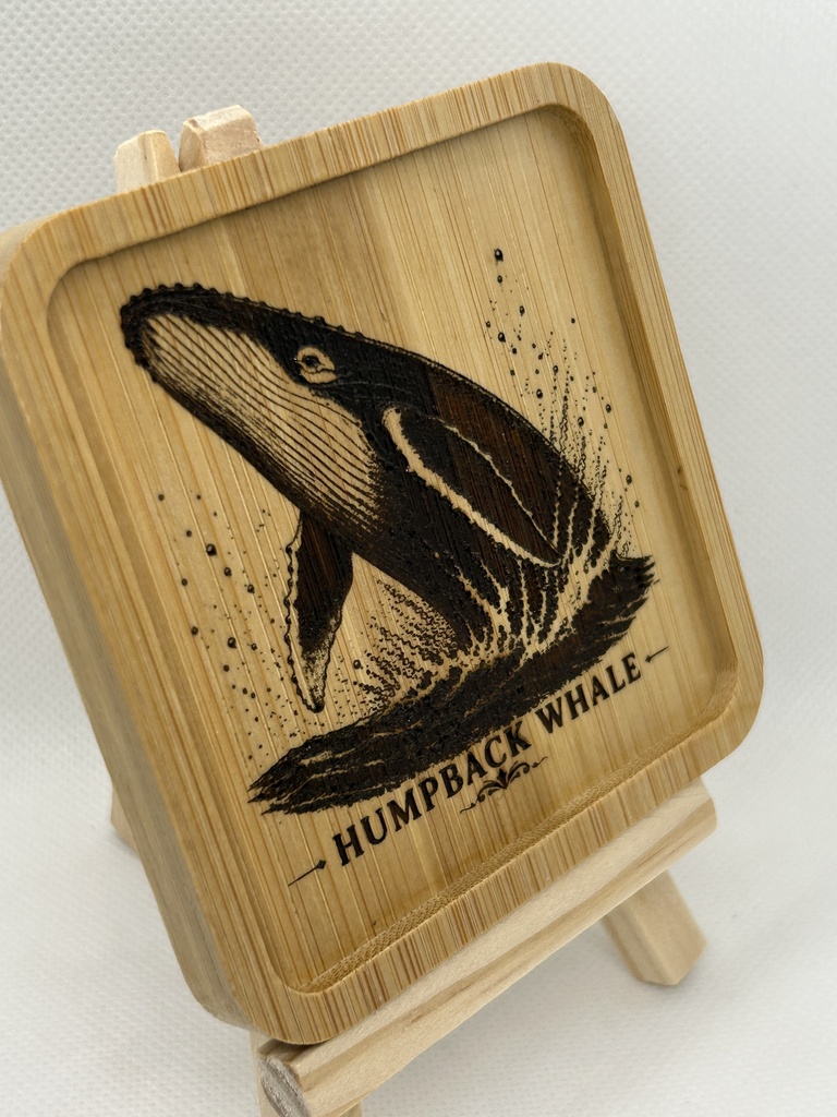 ザトウクジラ 木製コースター|レーザー刻印・竹製・ミニイーゼル付き|海の図鑑シリーズ・Humpback Whale・海の生き物・インテリア・ギフト