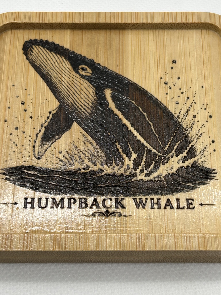 ザトウクジラ 木製コースター|レーザー刻印・竹製・ミニイーゼル付き|海の図鑑シリーズ・Humpback Whale・海の生き物・インテリア・ギフト