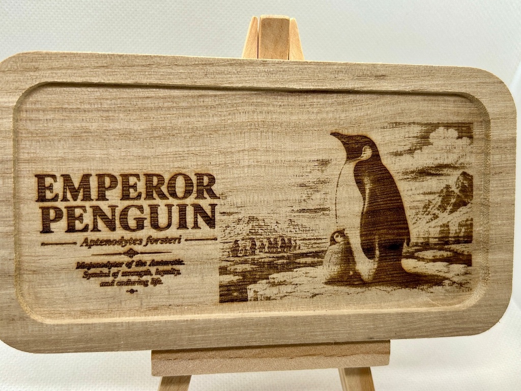 【図鑑シリーズ】皇帝ペンギン 木製アクセサリートレー|ミニイーゼル付き|レーザー刻印・鍵置き・小物入れ・インテリア