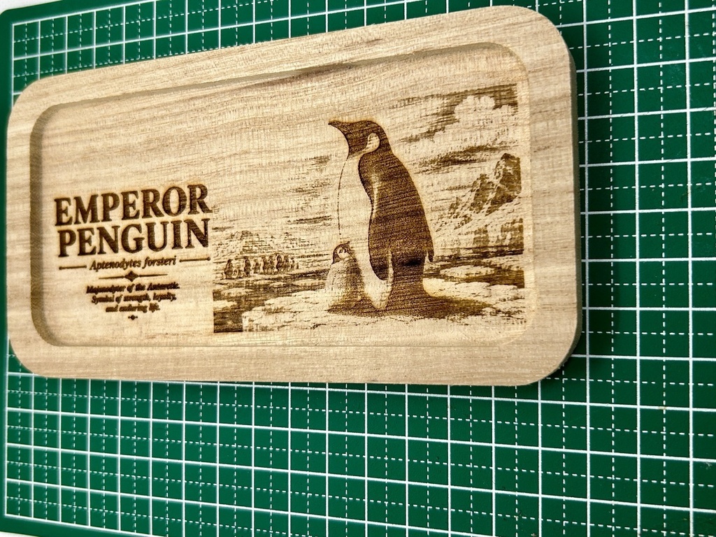【図鑑シリーズ】皇帝ペンギン 木製アクセサリートレー|ミニイーゼル付き|レーザー刻印・鍵置き・小物入れ・インテリア