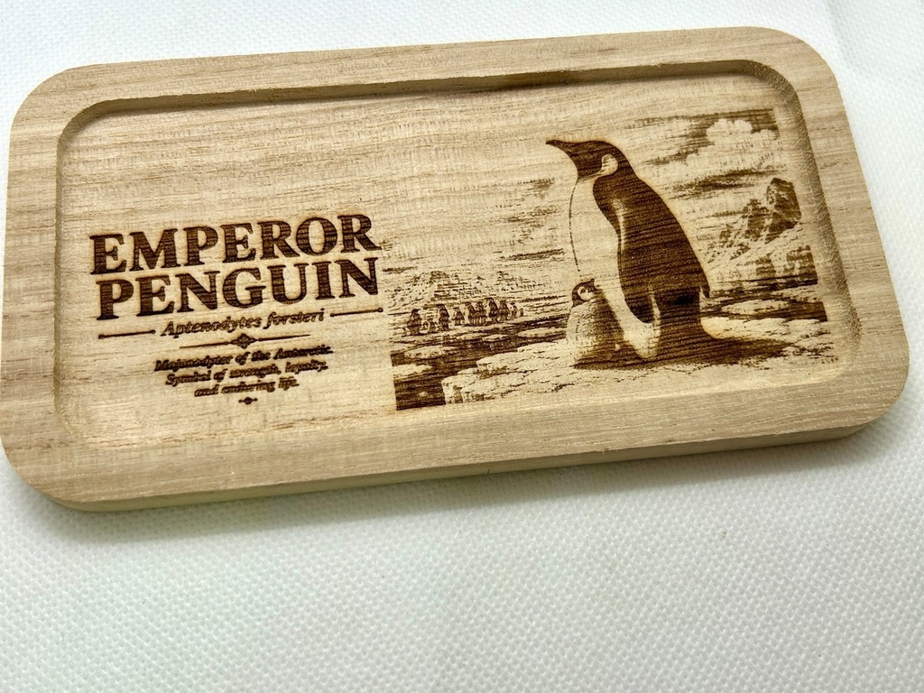 【図鑑シリーズ】皇帝ペンギン 木製アクセサリートレー｜ミニイーゼル付き｜レーザー刻印・鍵置き・小物入れ・インテリア