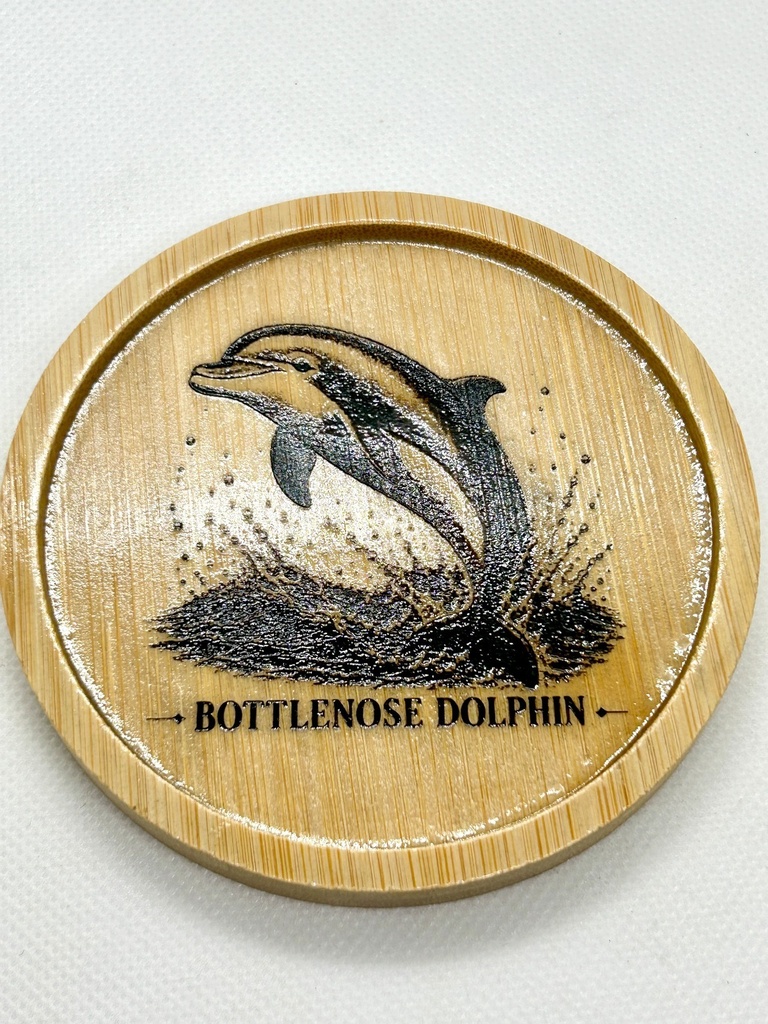 【海の図鑑シリーズ】イルカ 木製コースター｜竹製・レーザー刻印・ミニイーゼル付き｜Bottlenose Dolphin・海の生き物・インテリア・ギフト