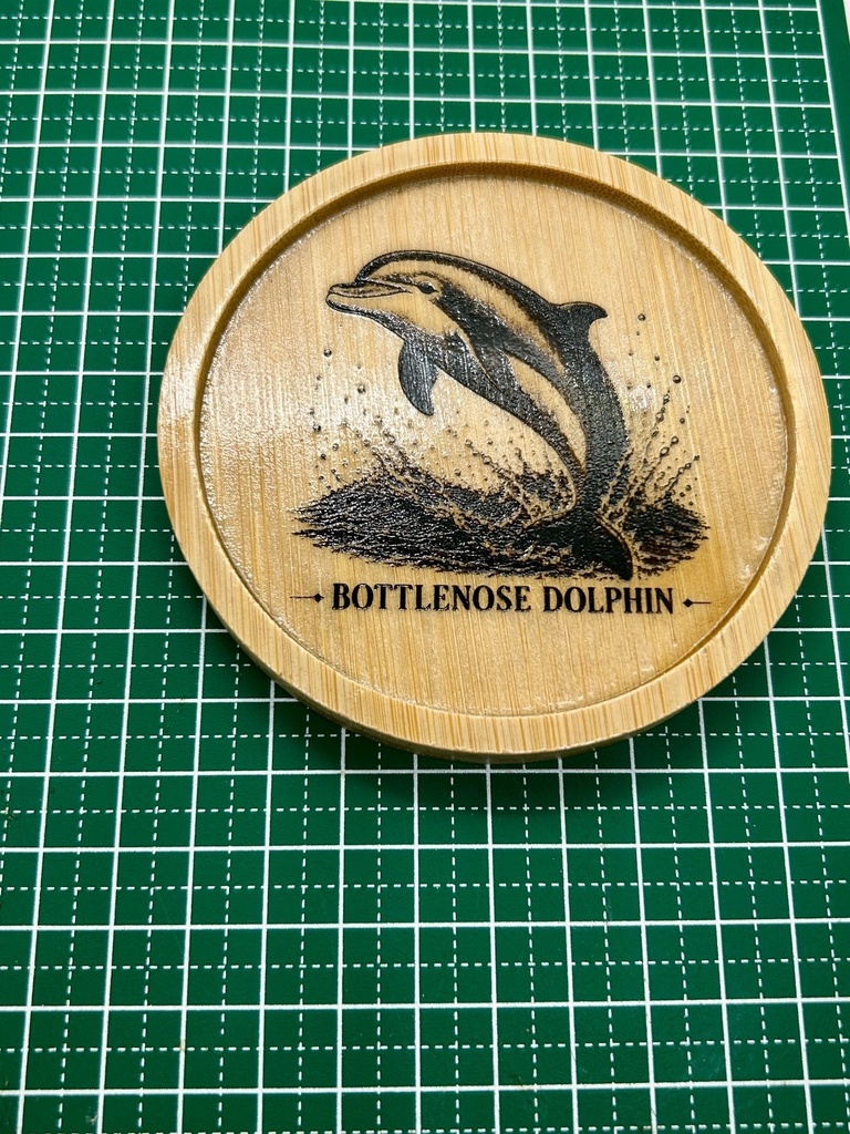 【海の図鑑シリーズ】イルカ 木製コースター|竹製・レーザー刻印・ミニイーゼル付き|Bottlenose Dolphin・海の生き物・インテリア・ギフト