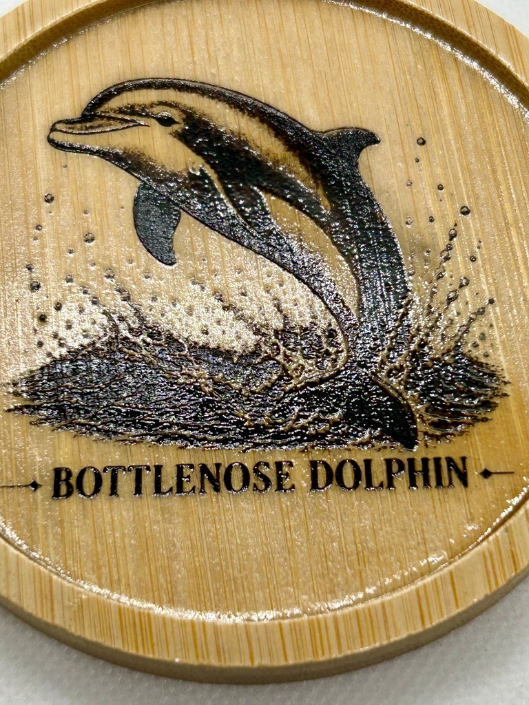 【海の図鑑シリーズ】イルカ 木製コースター|竹製・レーザー刻印・ミニイーゼル付き|Bottlenose Dolphin・海の生き物・インテリア・ギフト