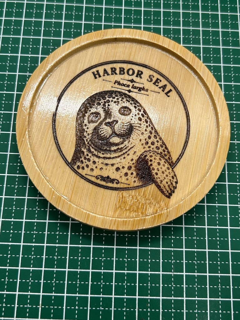 【海の図鑑シリーズ】ゴマフアザラシ 竹製コースター|レーザー刻印・ミニイーゼル付き|Harbor Seal・海の生き物・インテリア・ギフト