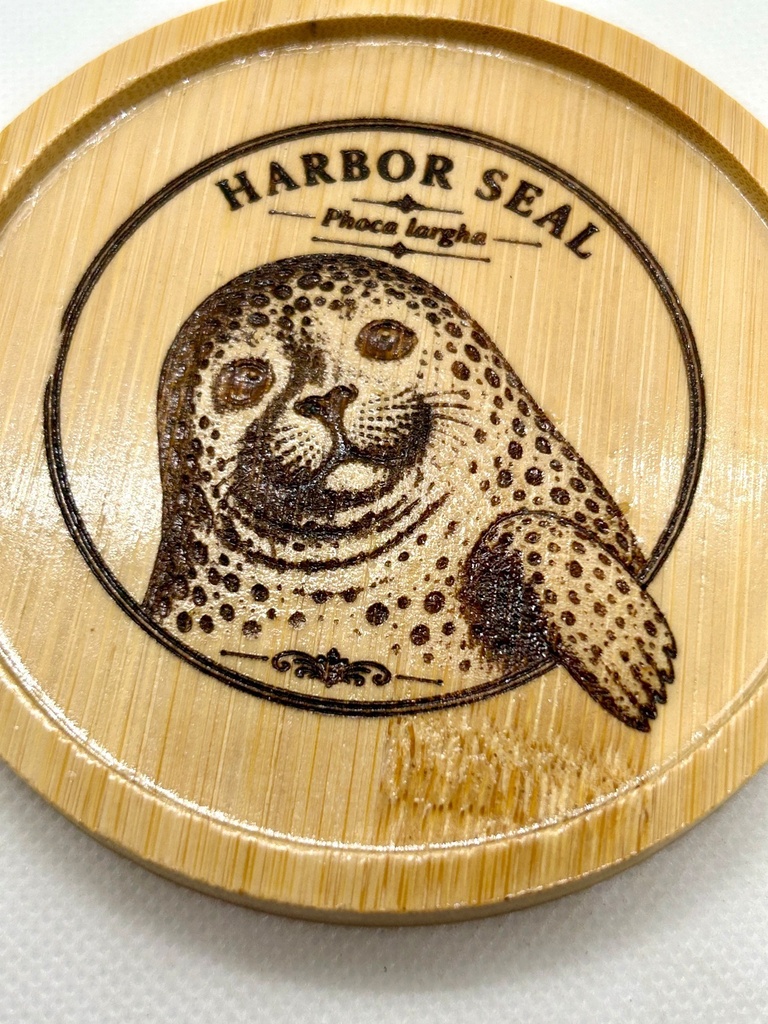 【海の図鑑シリーズ】ゴマフアザラシ 竹製コースター|レーザー刻印・ミニイーゼル付き|Harbor Seal・海の生き物・インテリア・ギフト