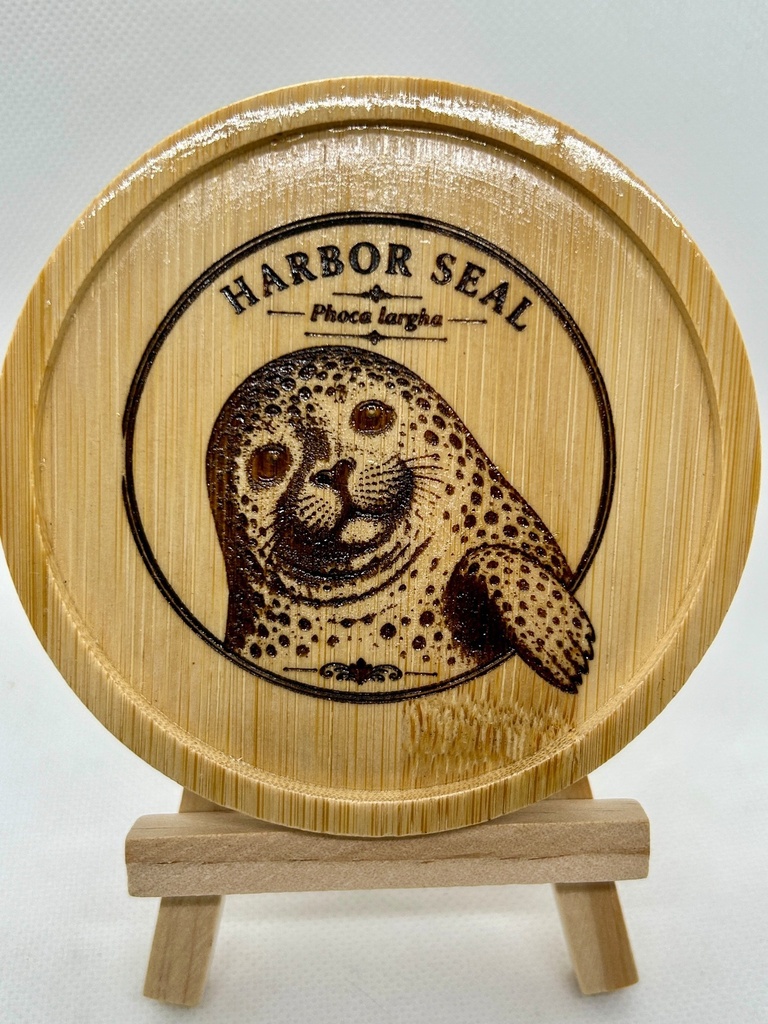 【海の図鑑シリーズ】ゴマフアザラシ 竹製コースター|レーザー刻印・ミニイーゼル付き|Harbor Seal・海の生き物・インテリア・ギフト