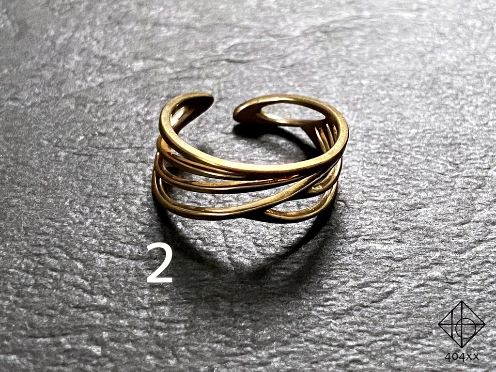 熟成版〈風乗りの輪〉イヤーカフ