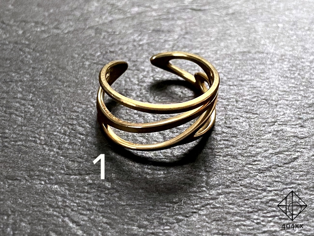 熟成版〈風乗りの輪〉イヤーカフ