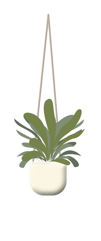 ぶら下がっている植物