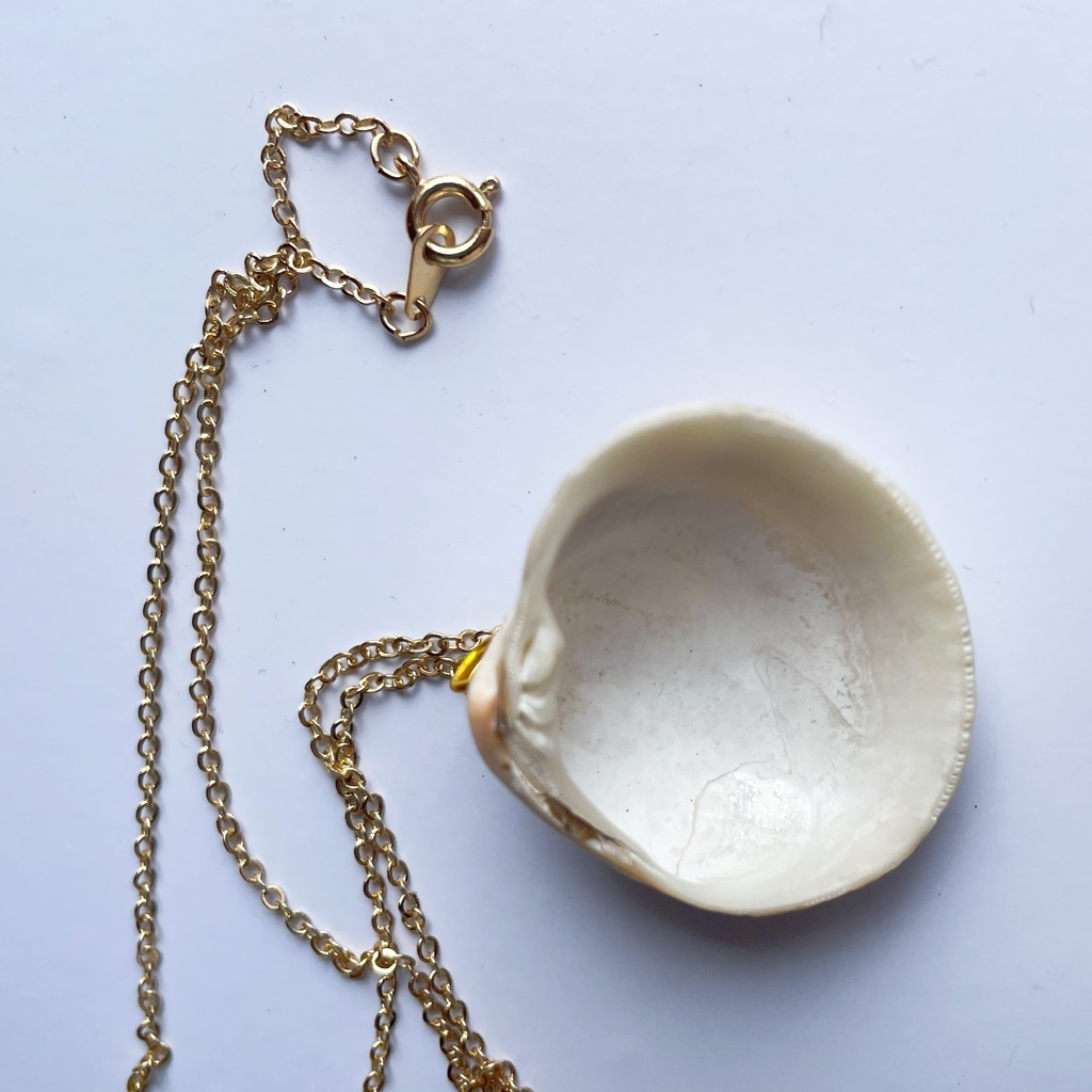 瀬戸内海の貝殻ネックレス