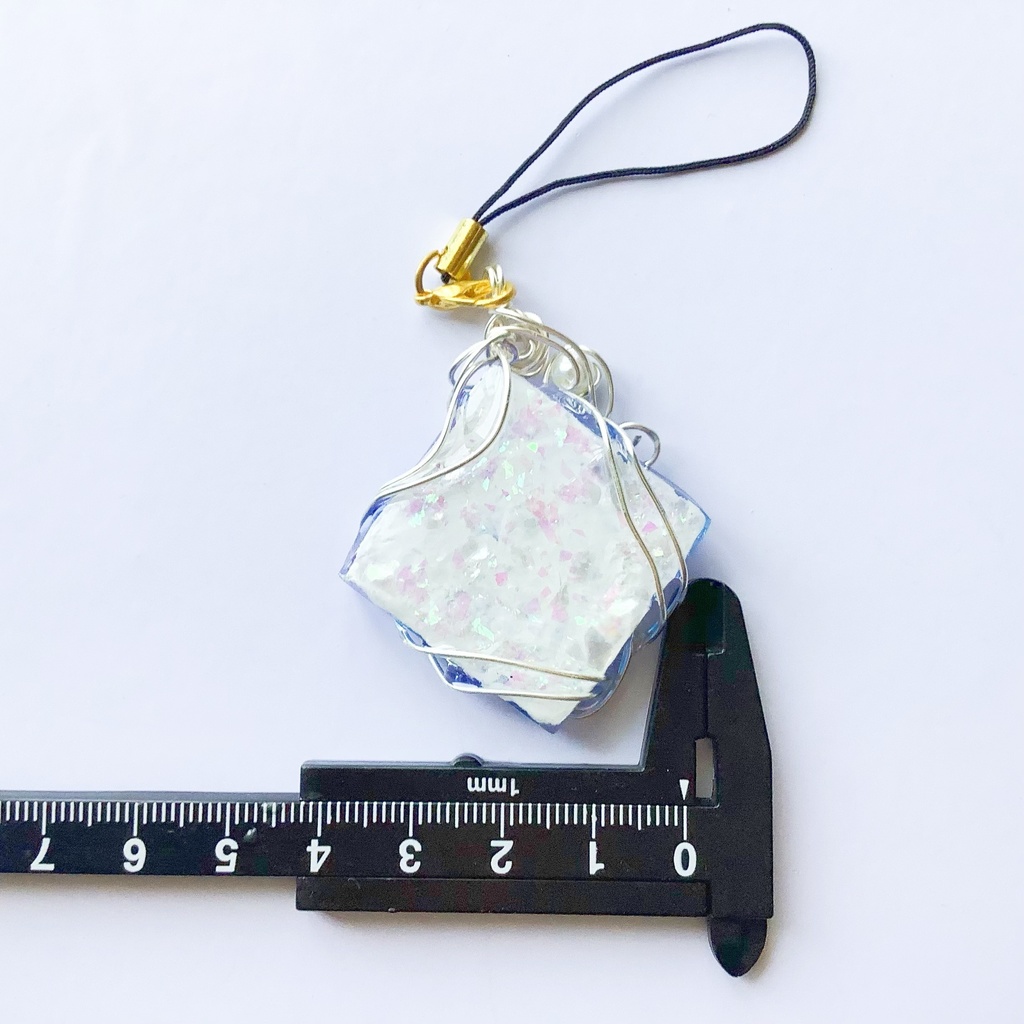 海標本のストラップ