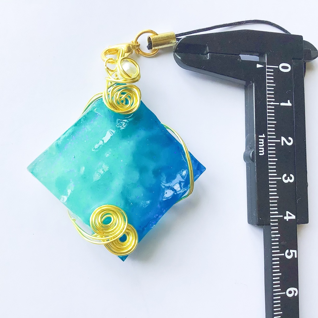 海標本のストラップ