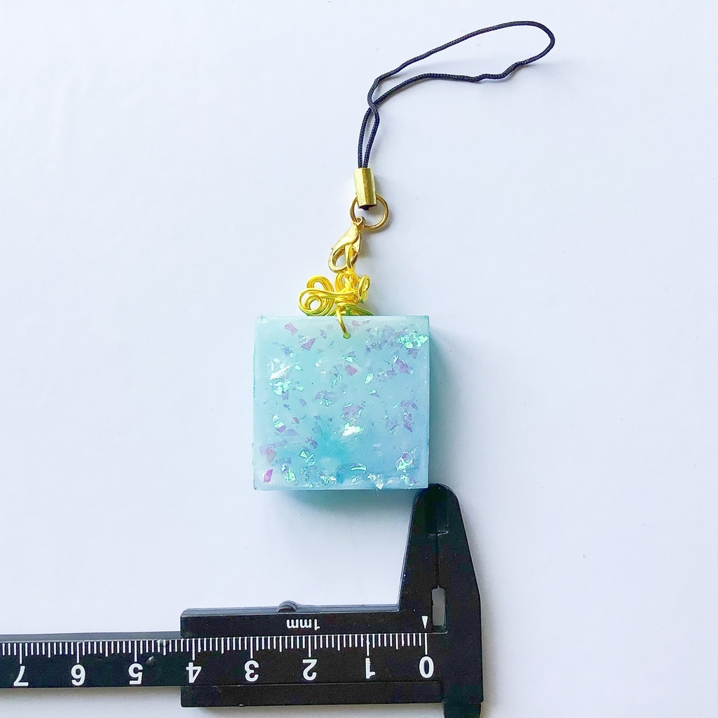 海標本のストラップ