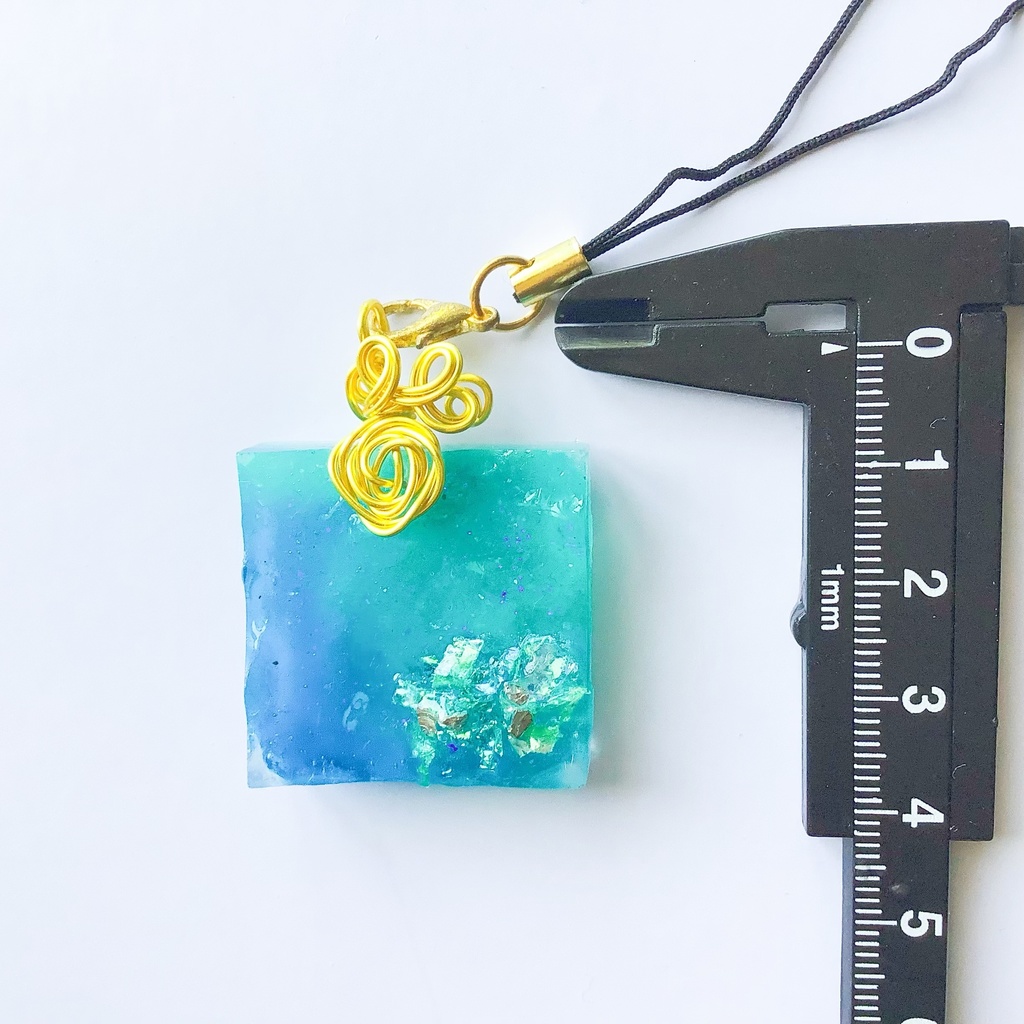 海標本のストラップ