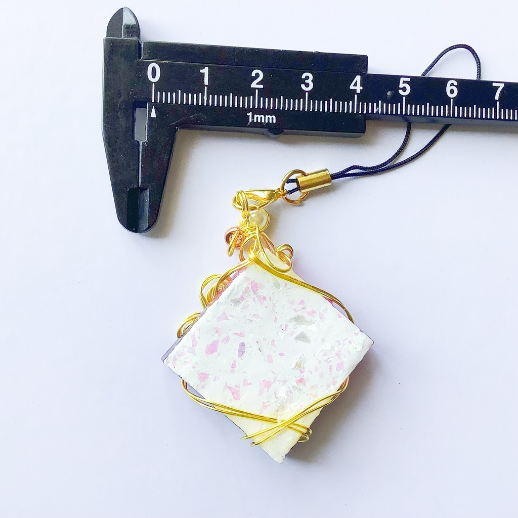 海標本のストラップ