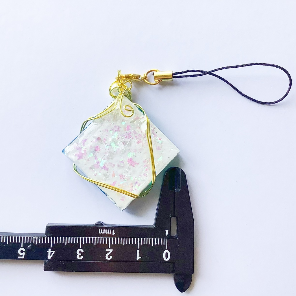 海標本のストラップ