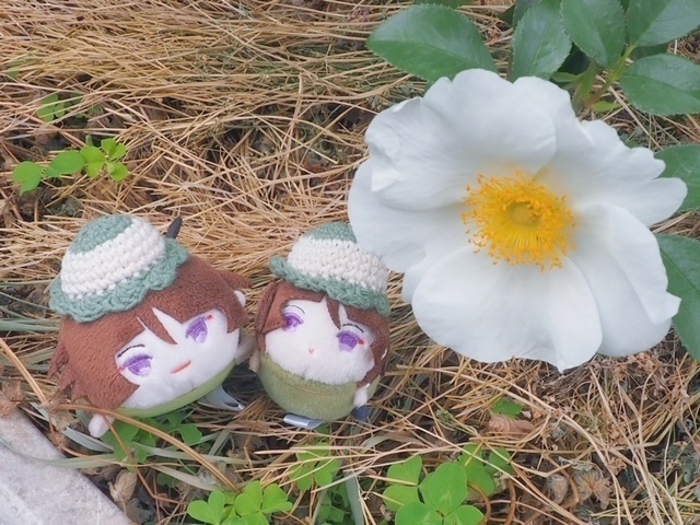 シャーベット帽子(おもち 指の上 小さめ)