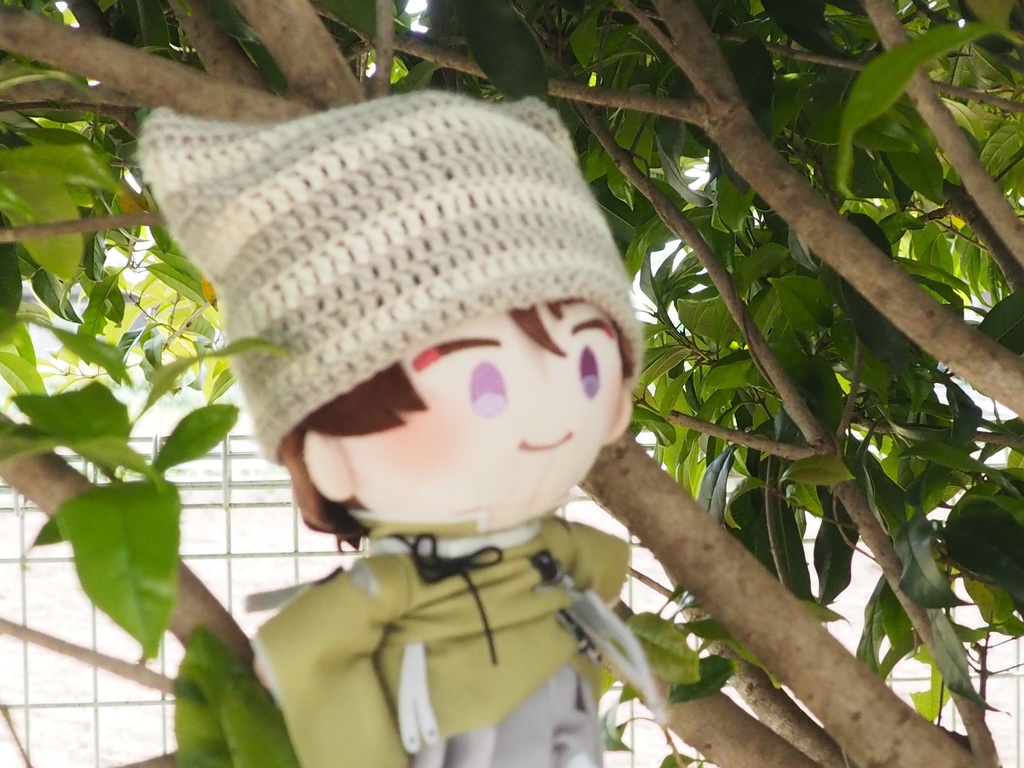 猫耳帽子🐈(わんぱく男士等)