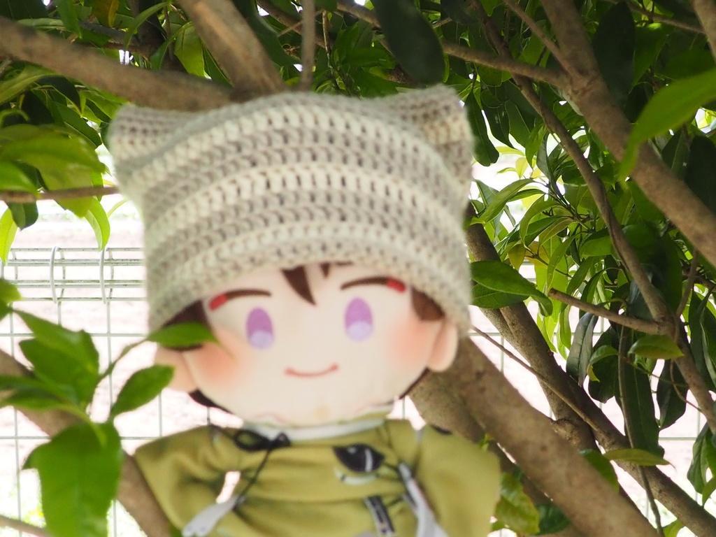猫耳帽子🐈(わんぱく男士等)