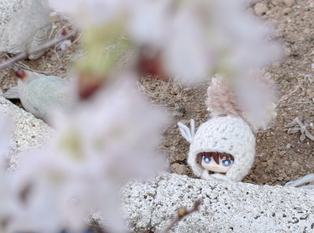 ちいさい耳当てぽんぽん帽子