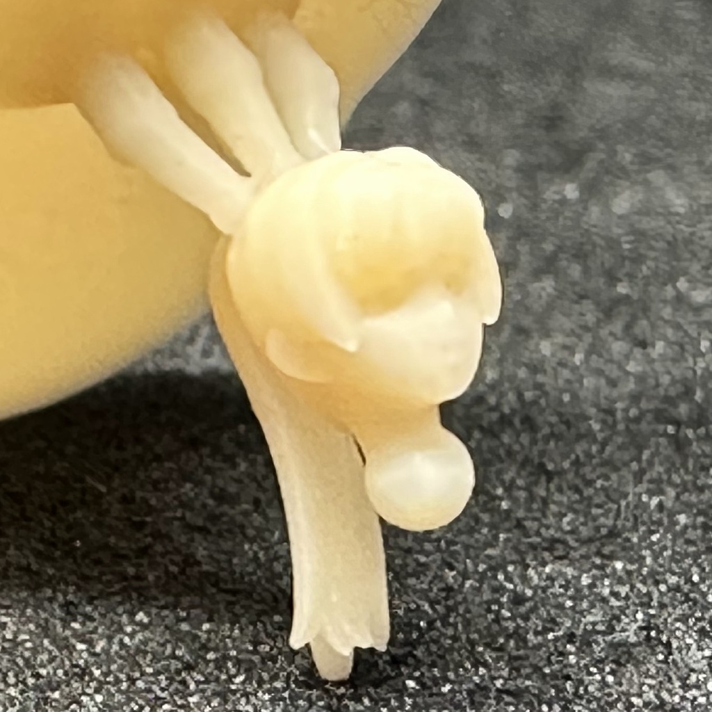 【3Dプリンター出力品】カスタム頭部パーツ 女性セット1(6種)