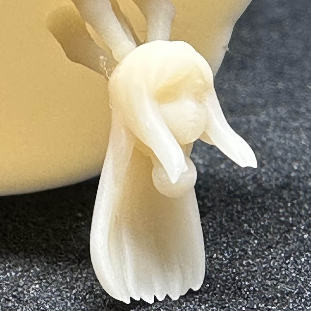 【3Dプリンター出力品】カスタム頭部パーツ 女性セット1(6種)