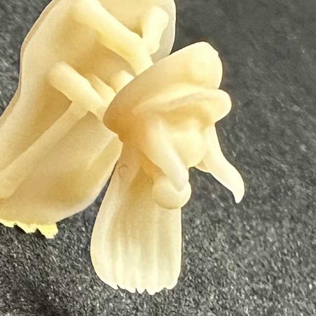 【3Dプリンター出力品】カスタム頭部パーツ 女性 ロングヘア艦長