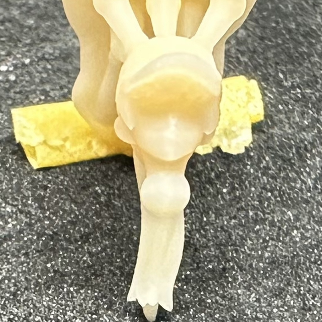 【3Dプリンター出力品】カスタム頭部パーツ 女性 ポニーテール キャップ